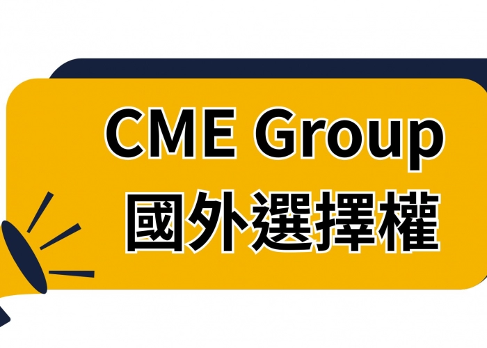 🚦CME Group 國外選擇權完整攻略｜保證金計算、到期處理一次看懂！